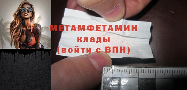 прущие грибы Волосово