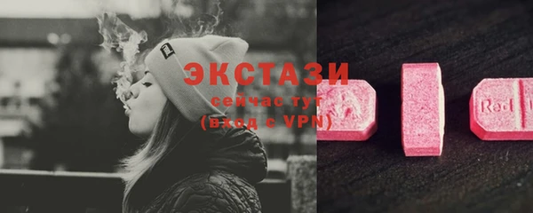 индика Струнино