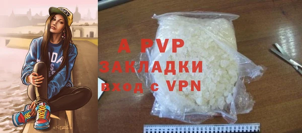 прущие грибы Волосово