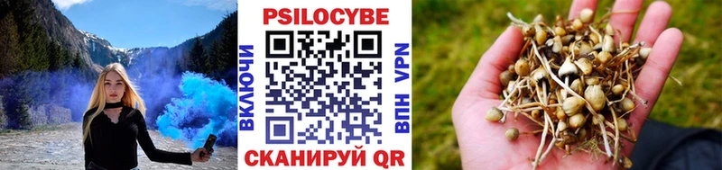 хочу   дарк нет телеграм  Галлюциногенные грибы Magic Shrooms  Сафоново 